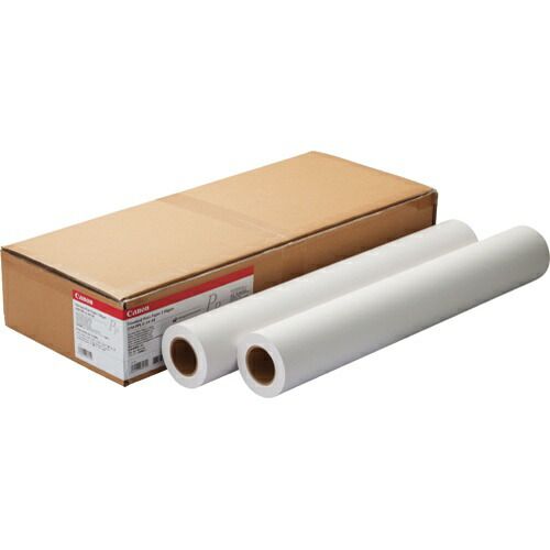 キヤノン スタンダード普通紙2 A2 2本入 LFM-PPS2/A2/64 （1点）