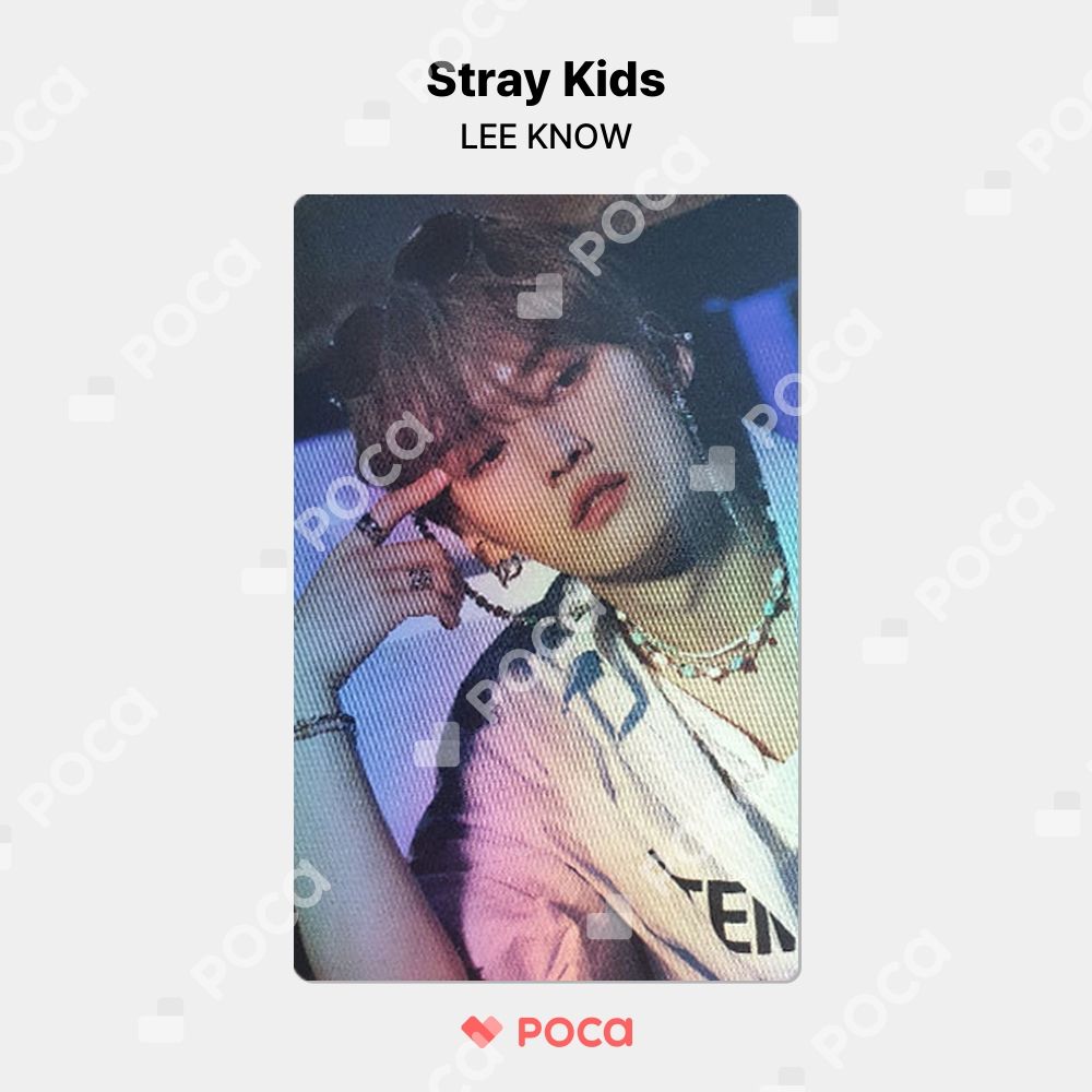 straykids リノ スキズ トレカ NOEASY ALADDIN 公式 トレカ