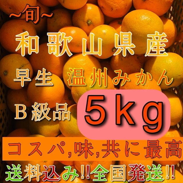 〝コスパ味最高〟和歌山産 温州みかん 家庭用 5kg-0