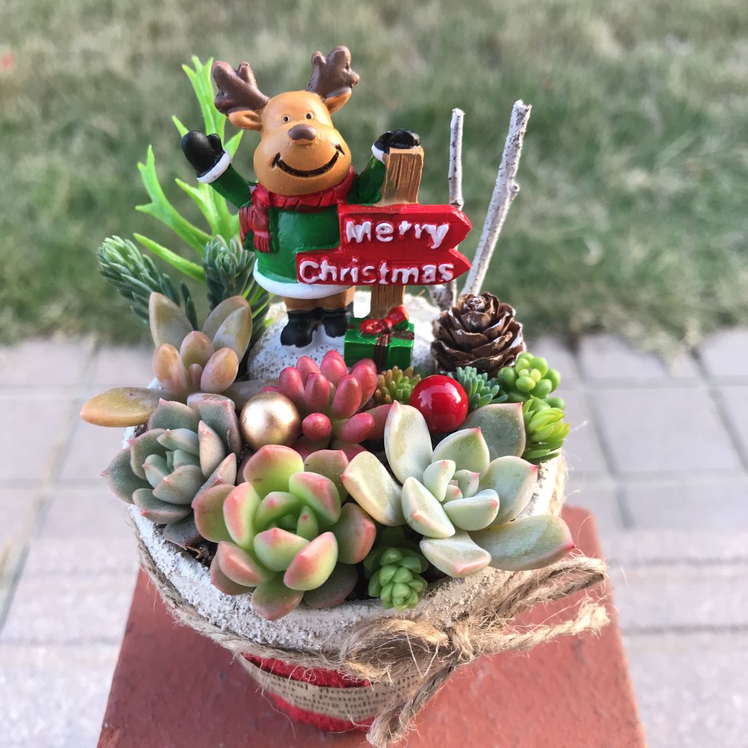 ♡そのまま飾れる♡リメ鉢♬Xmas☆トナカイの多肉植物寄せ植え ♡そのまま飾れる♡リメ鉢♬Xmas☆トナカイの多肉植物寄せ植え