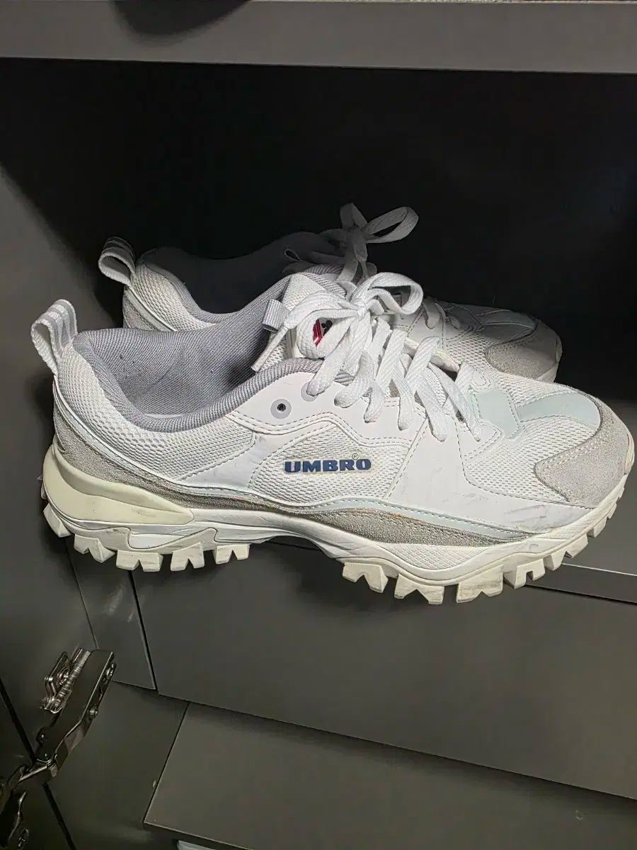 アンブロ バンピー スニーカー 260