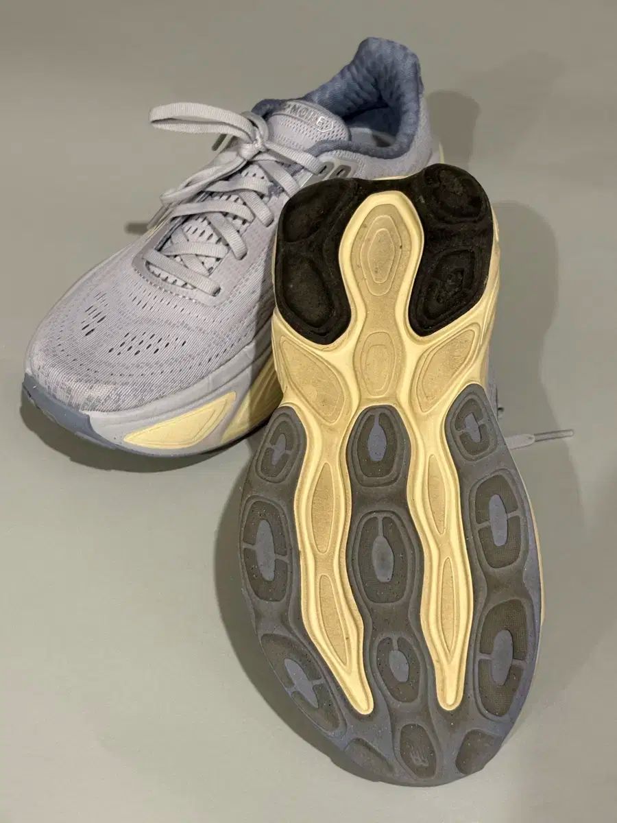 New Balance ニューバランス V5 レディース 240mm HRDEVELOPMENT_JP