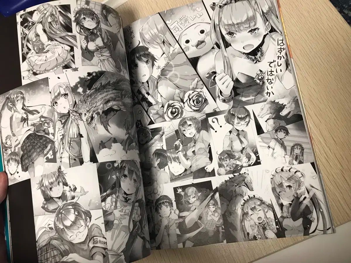 写真集 イラスト集