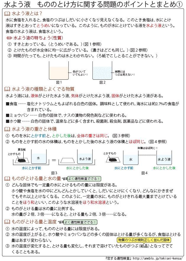 適性検査 理科 テーマ別 まとめ&よくわかる過去問解説集 お買い得