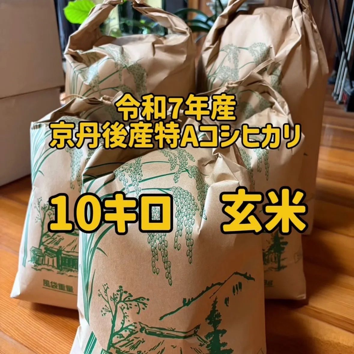 令和7年収穫 京丹後産コシヒカリ 10kg 玄米 農家直送
