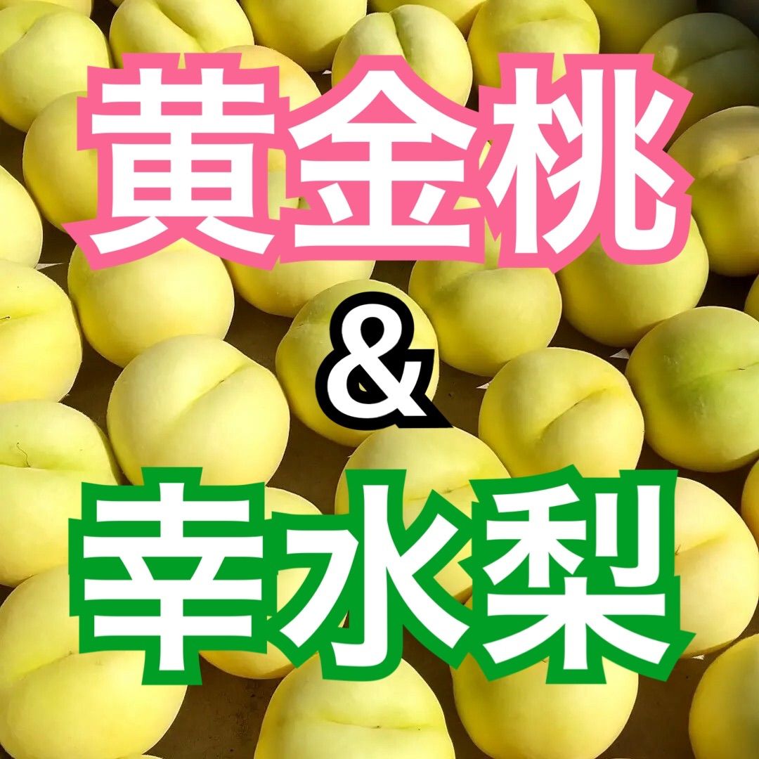 送料無料‼︎ 黄金桃と幸水梨mix 4.5kg以上 旨い 山形イシー果樹園 メルカリ