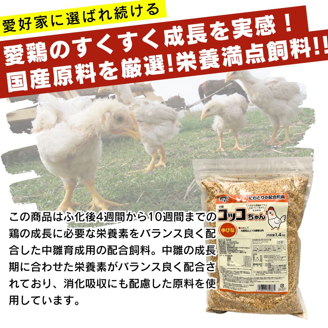 鶏 エサ