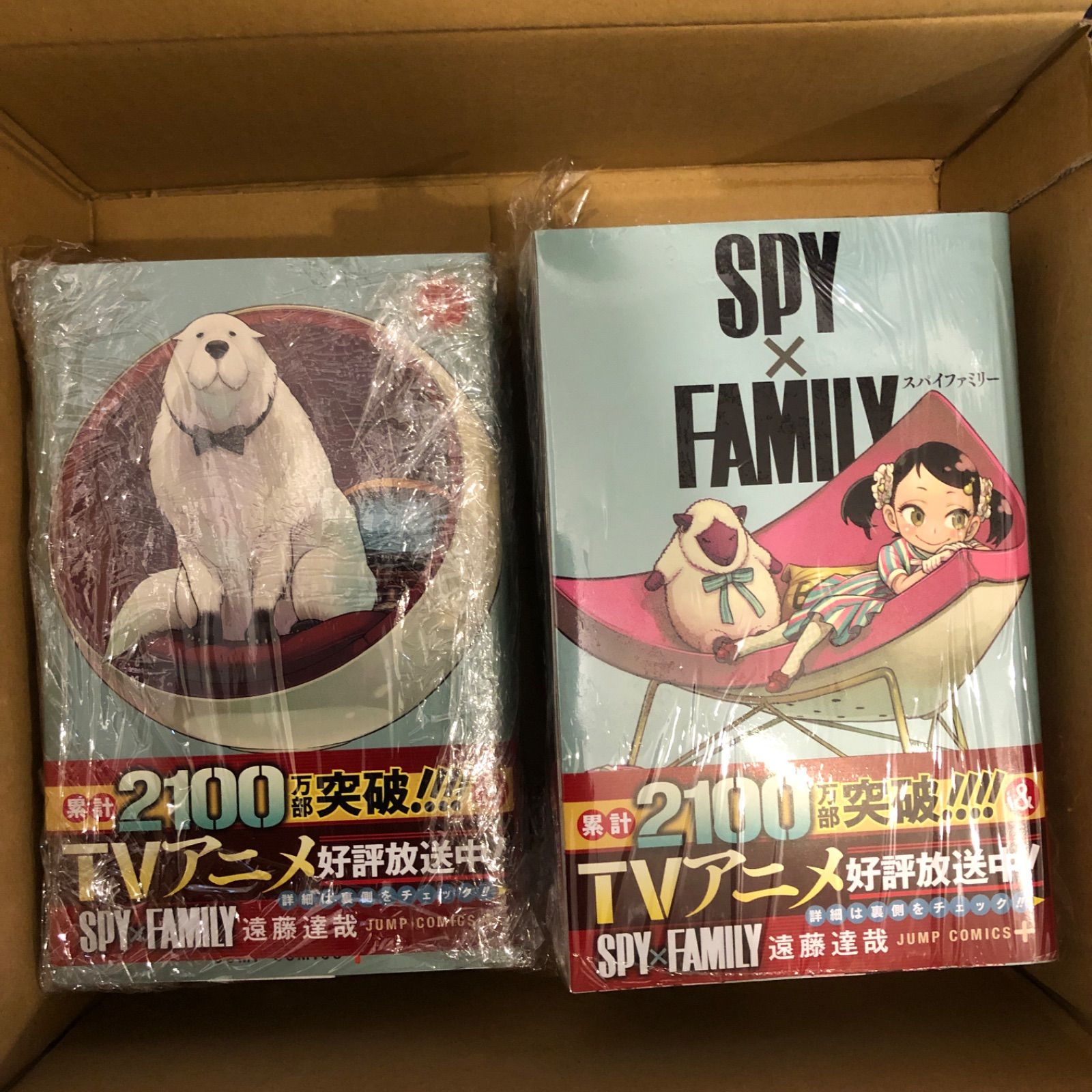 最高の品質 スパイファミリー SPY×FAMILY 全巻セット ecousarecycling.com