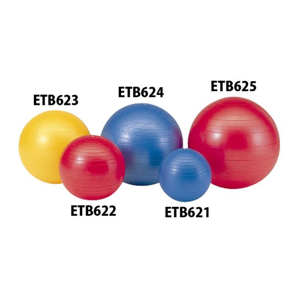 エバニュー Evernew ジムボール65 ボディケアグッズ (ETB624)、選択