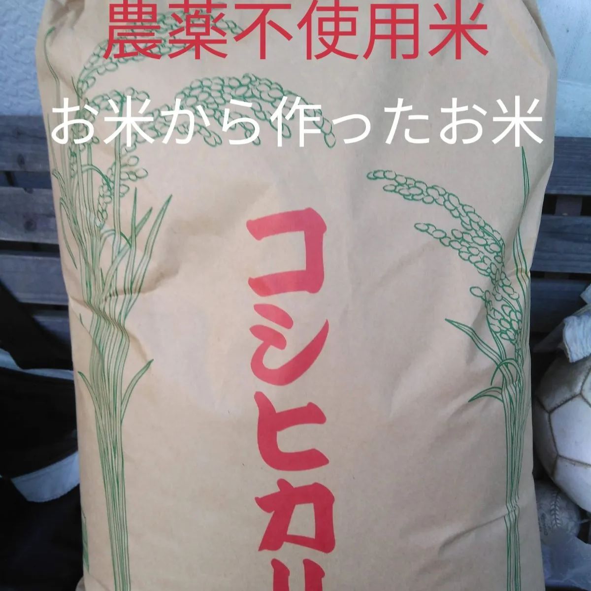 令和4年産 農薬不使用 お米から作ったお米コシヒカリ玄米 10キロ