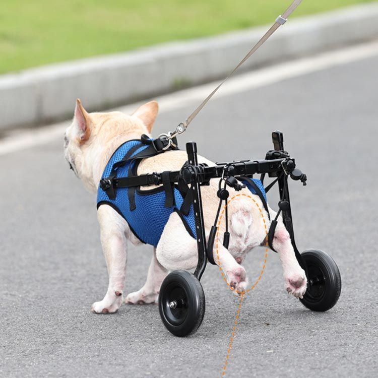 犬用 車いす 車椅子 小型 中型 ペット用 4輪歩行器 リハビリ