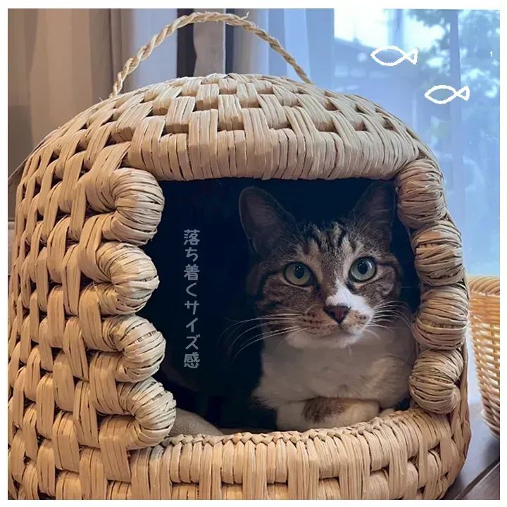 天然稲わら