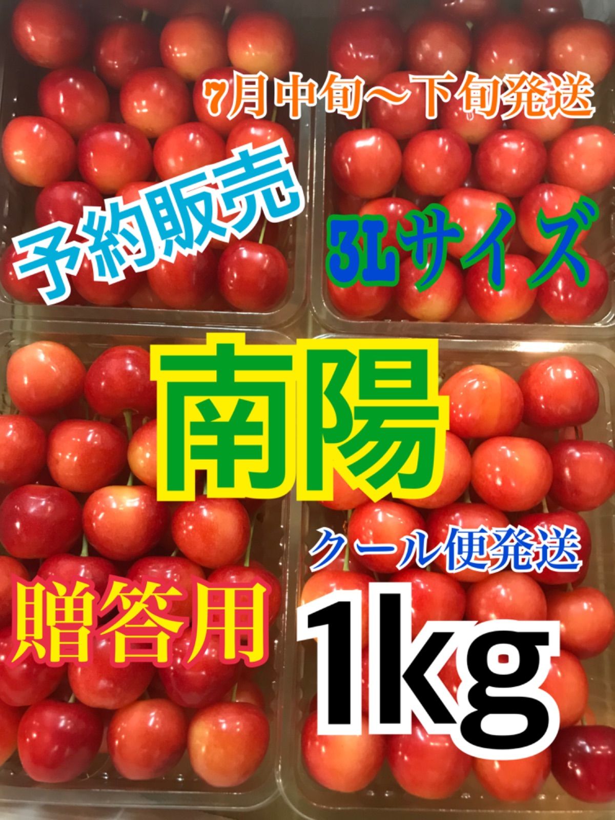 ４種のさくらんぼ　紅秀峰　大将錦　南陽　佐藤錦　秀品　粒大きめ