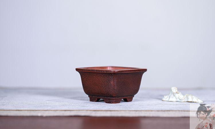 宜興 紫砂鉢 多肉菖蒲盆栽 長方鉢 大盆栽 小盆栽 多肉植物鉢 紫砂鉢 盆栽鉢 植木鉢 小品盆栽鉢 大品盆栽鉢 - メルカリ