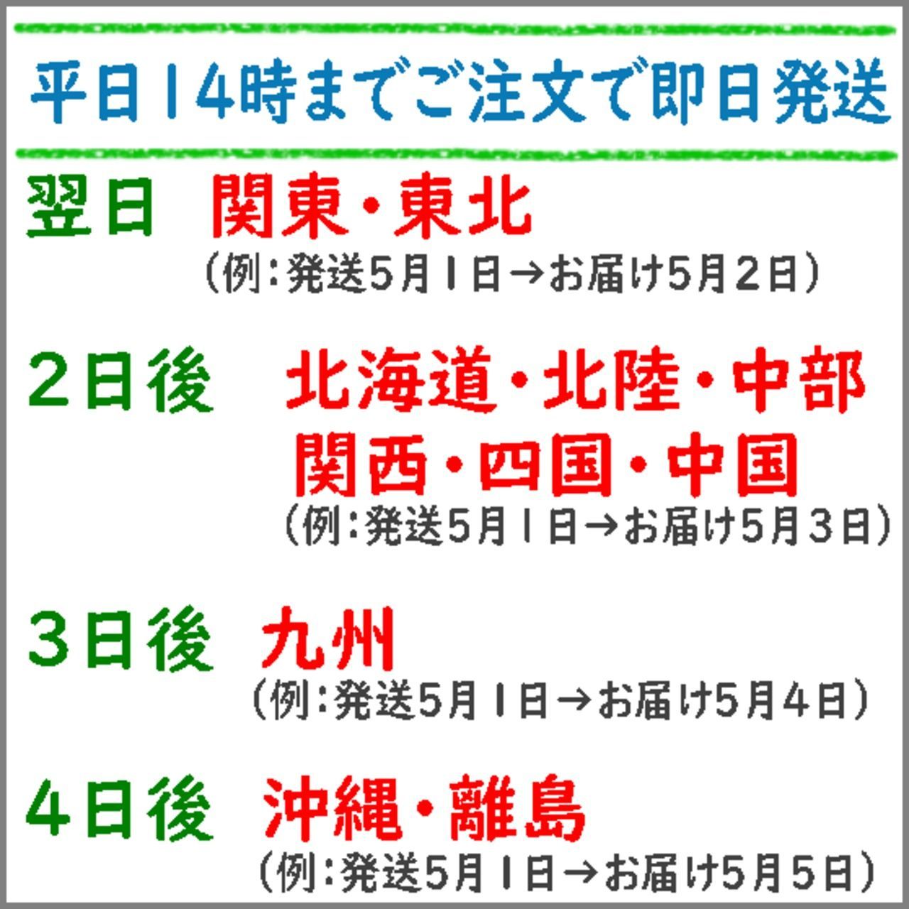 とリュックセット
