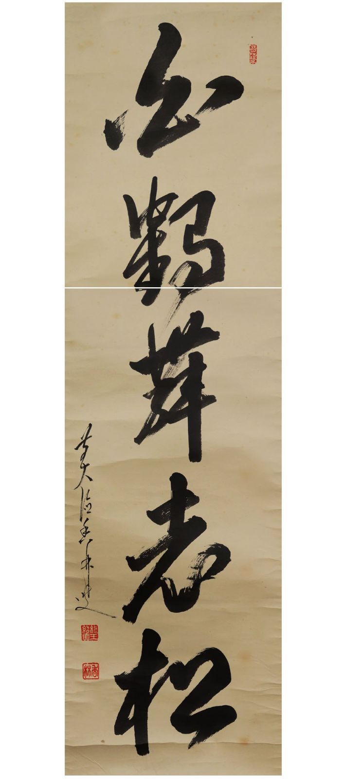 源・M》大徳寺 大橋香林筆 茶掛け一行書「白鶴舞老松」/共箱