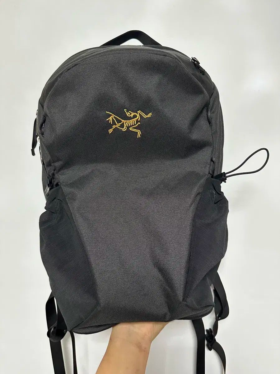 ARC TERYX アークテリクス Mantis マンティス 16 バックパック