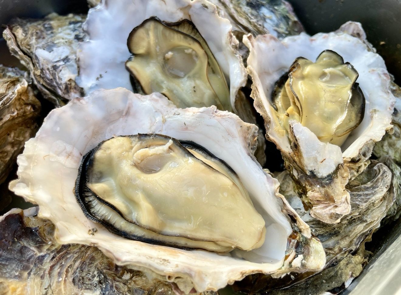 一斗缶