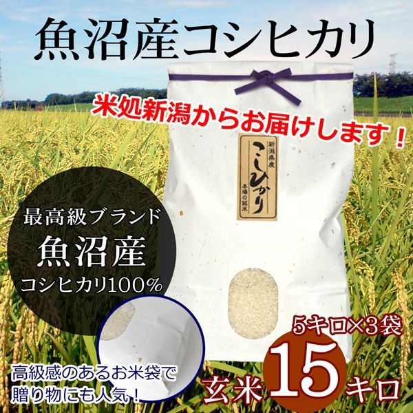 こしひかり 15kg(5kg×3袋)   米 【匿名配送】