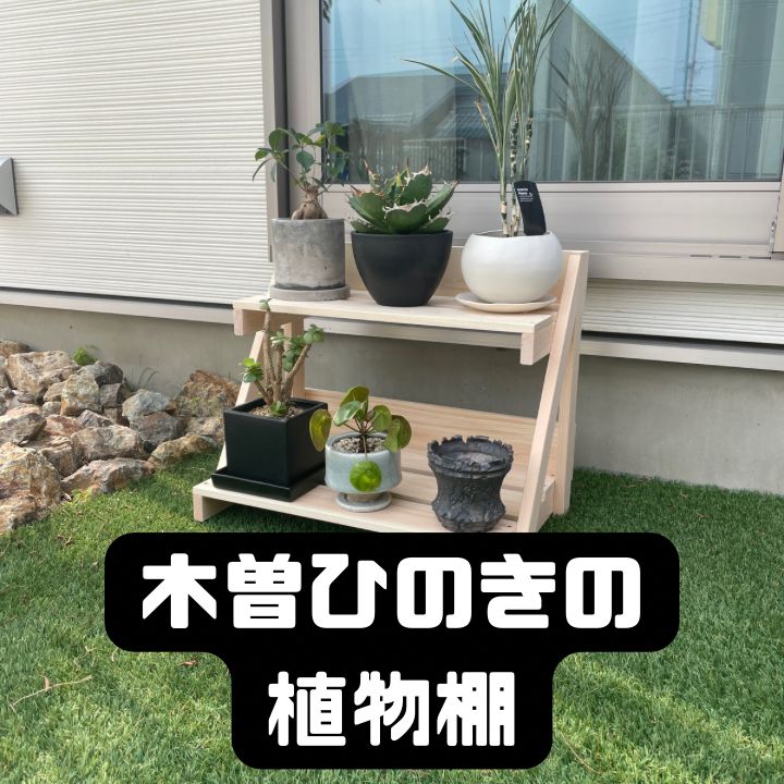 植物棚 アイアンシェルフ アガベ シーザー ハデス パキプス