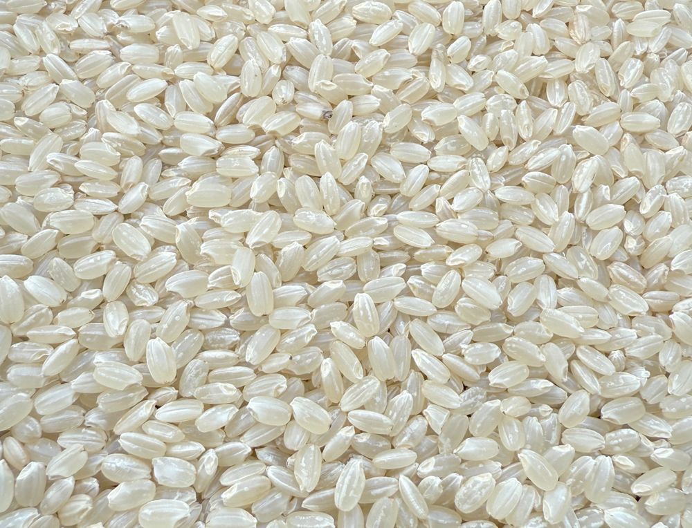 福島県 会津若松産 里山のつぶ 1等 小売業者 玄米 令和5年産 玄米10kg