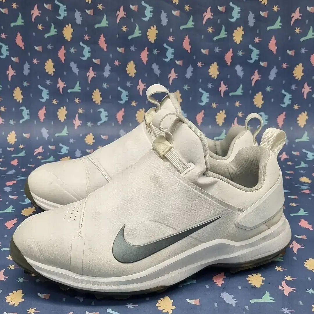 NIKE ナイキ ツアー ゴルフシューズ 250