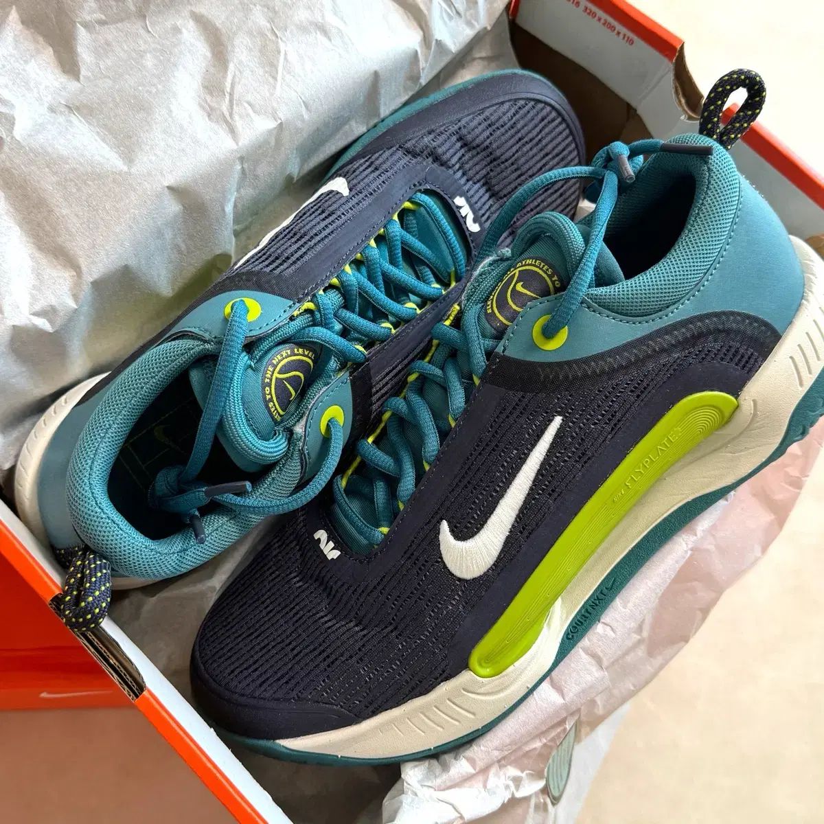 NIKE ナイキ ズームコート nxt メンズ テニスシューズ 260