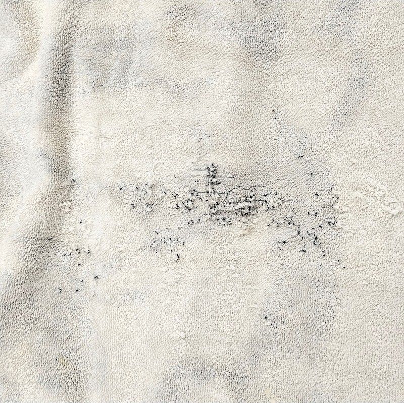 シャネル(CHANEL) コットン100％ ビーチライン セール パイル地