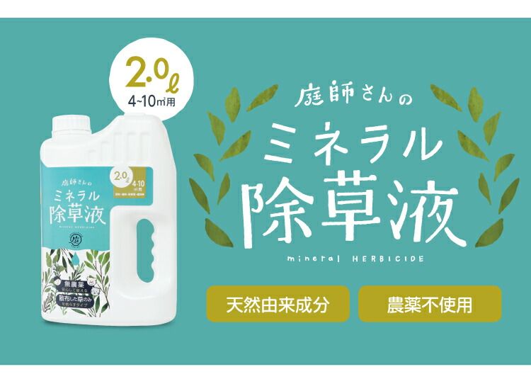 5個セット 雑草