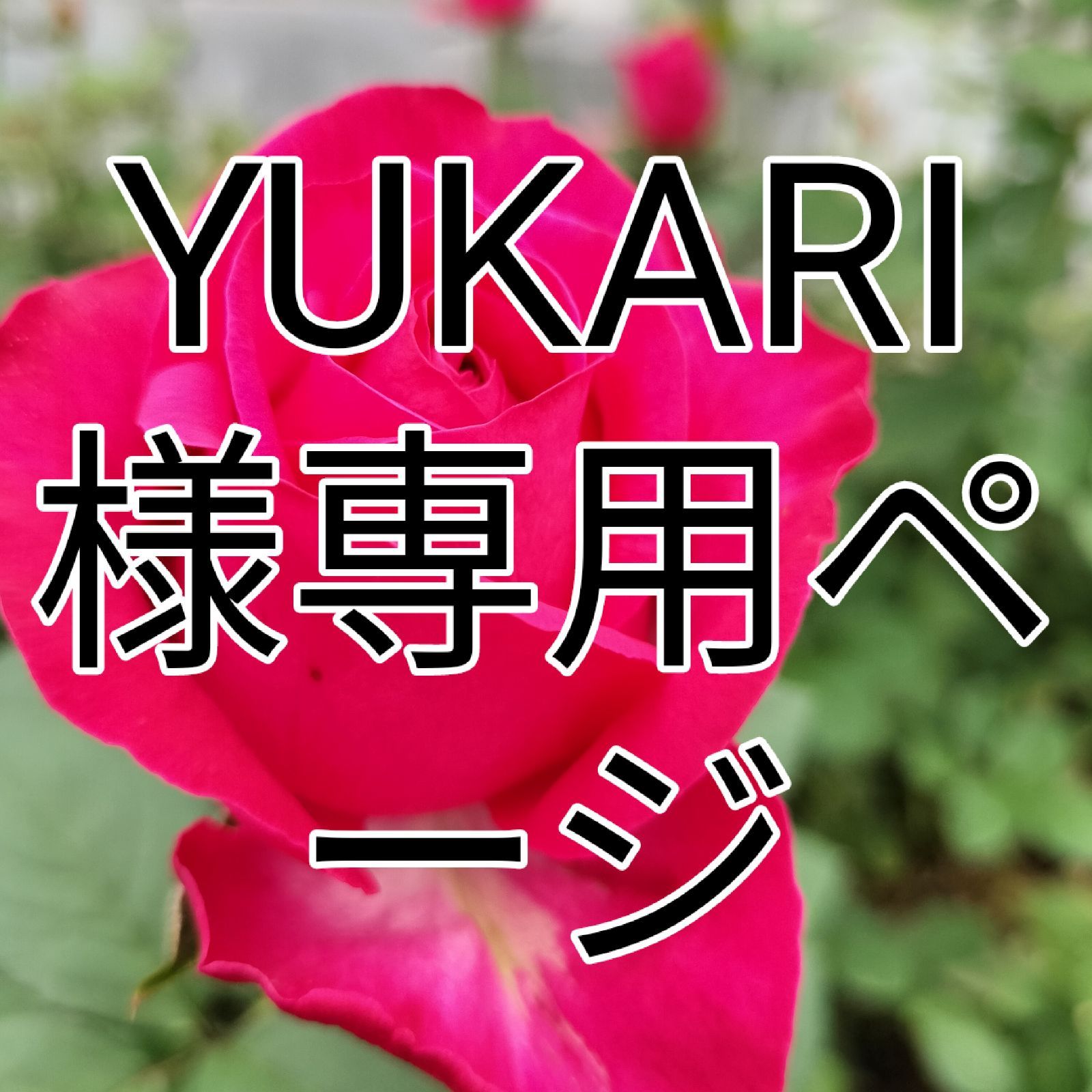 YUKARI様専用ページ バラ ２色❨生花・ 切り花❩ - 生産直売 ばらの