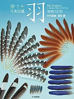 1988年 鶴岡善久『アンリ・ミショー画集』沖積舎 UVRES メルカリ