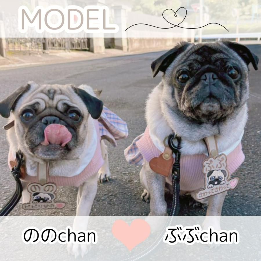 ⭐︎MIX犬対応⭐︎ 愛犬 迷子札 吊り下げ 刺繍キーホルダー