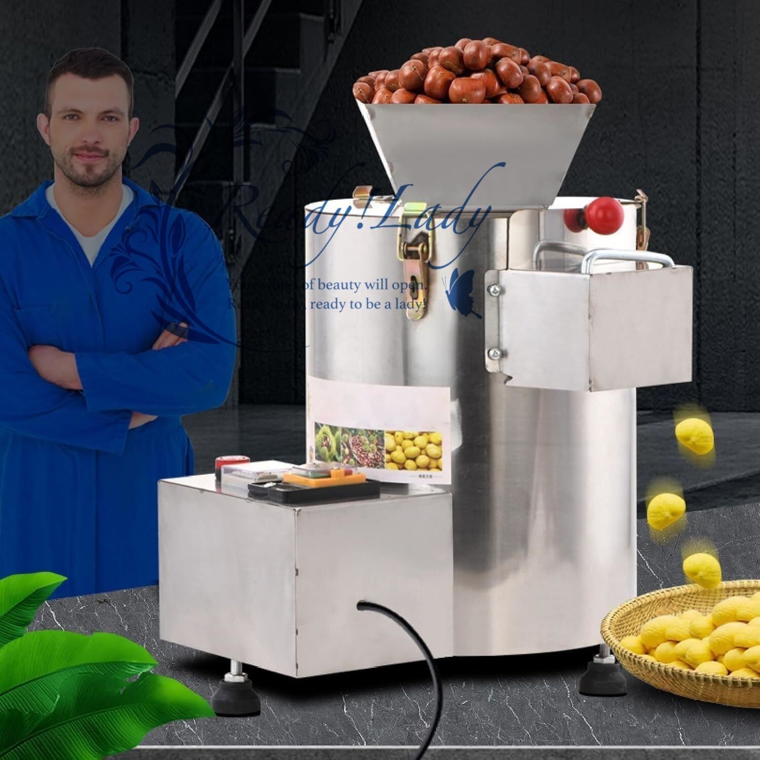 自動栗オープナー 550W栗皮むき殻むき機 150kg | H商用電動栗殻むき機 高効率 栗を傷つけない
