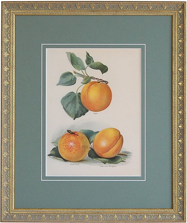 植松眞治「ローマにて」油彩 抽象画 額59×59cm 真作保証 送込 油彩画