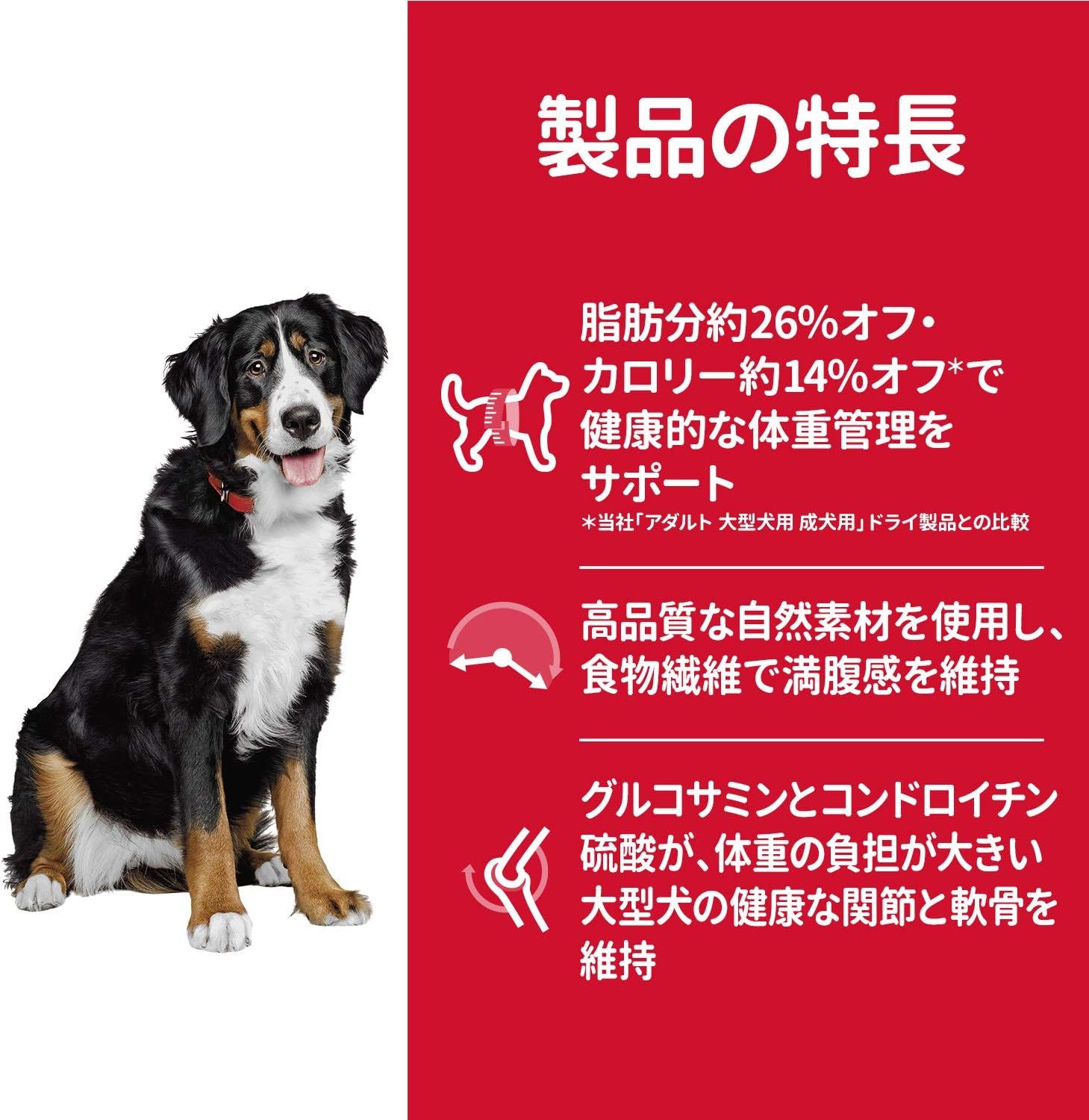 東海