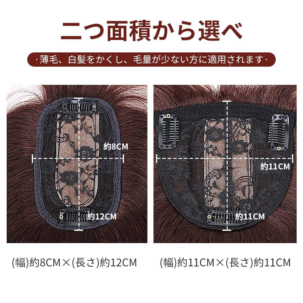 増毛 ポイントウイッグ