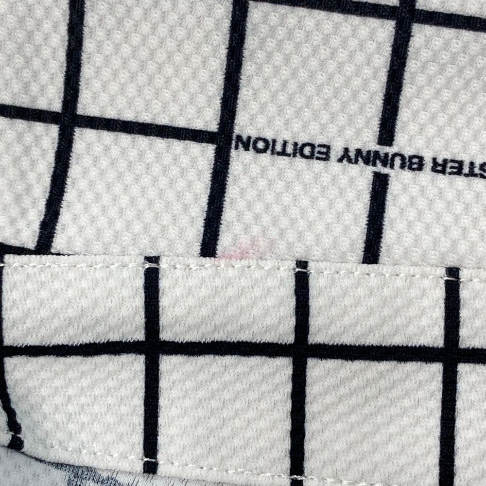 マスターバニーエディション