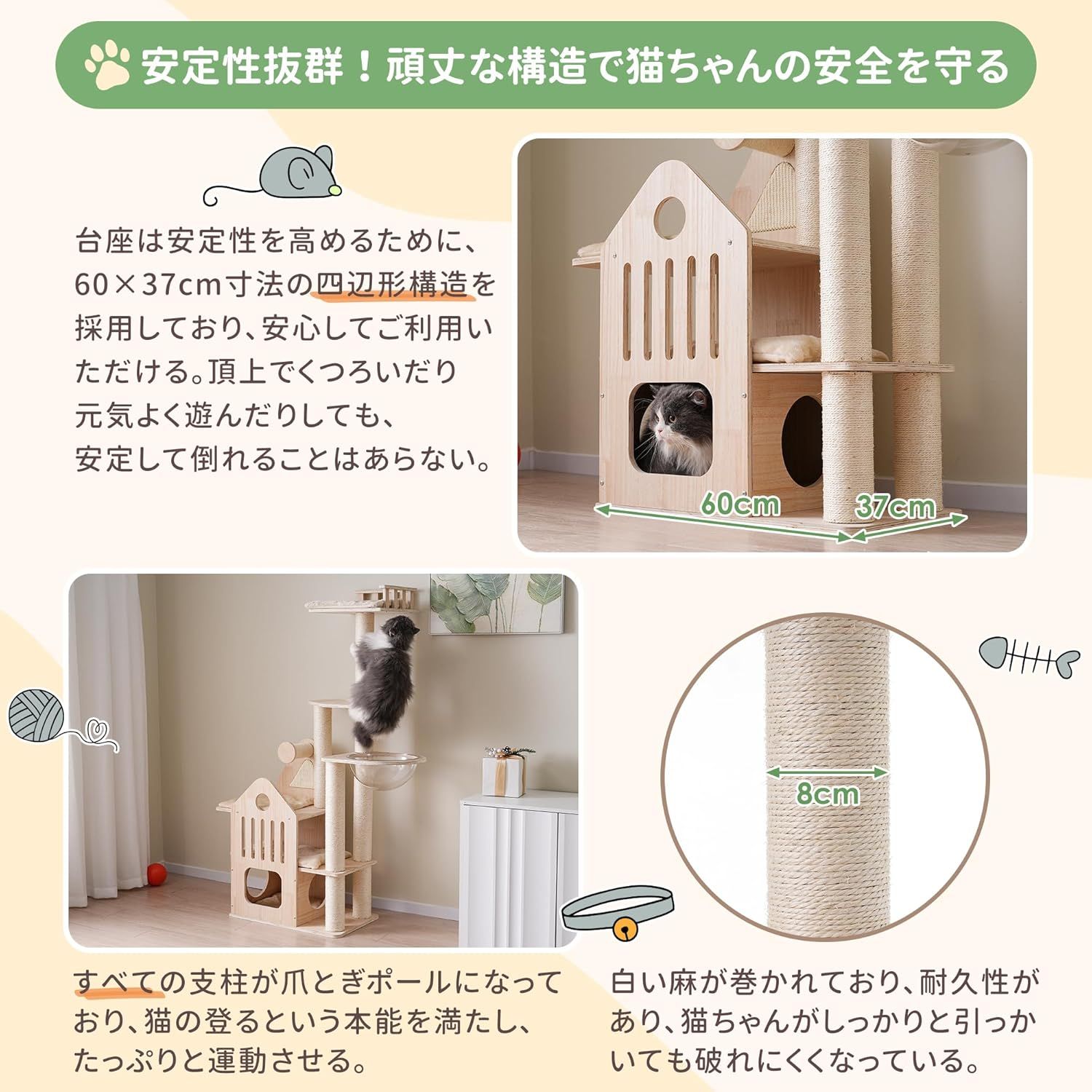 運動不足解消 子猫