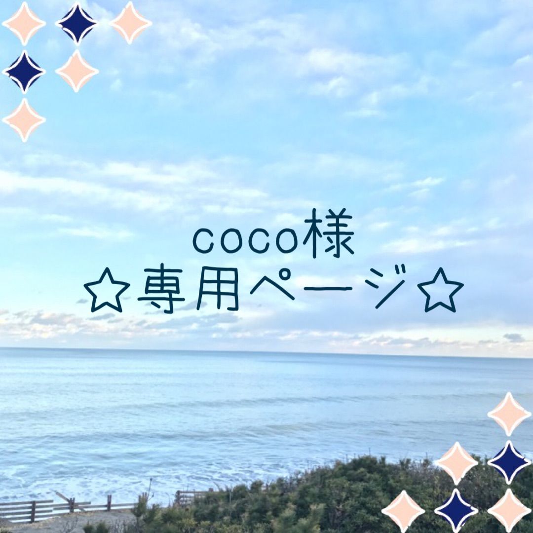 coco様 ☆専用ページ☆ - ♡12/28発送最終(27日迄ご購入分) - メルカリ