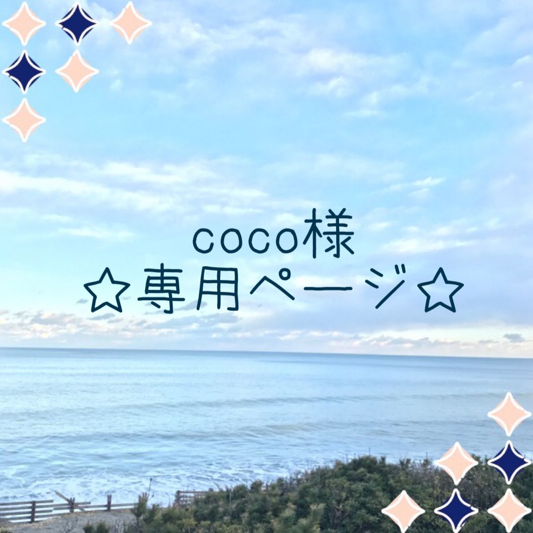 ☆coco☆様専用ページ•*¨*•.¸♬︎-