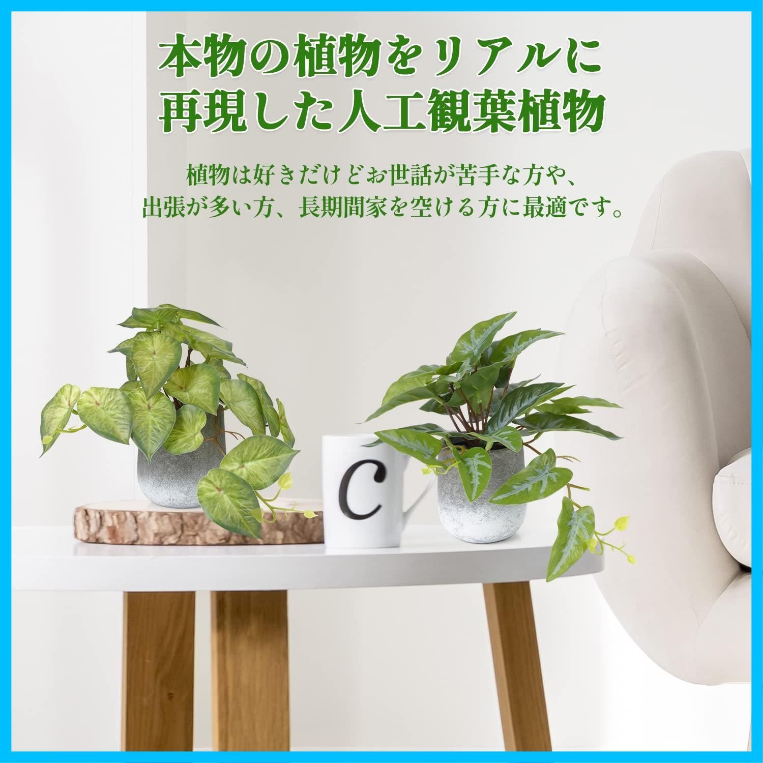 人気商品】XiaZ フェイクグリーン 3点セット 卓上 人工観葉植物 ミニ