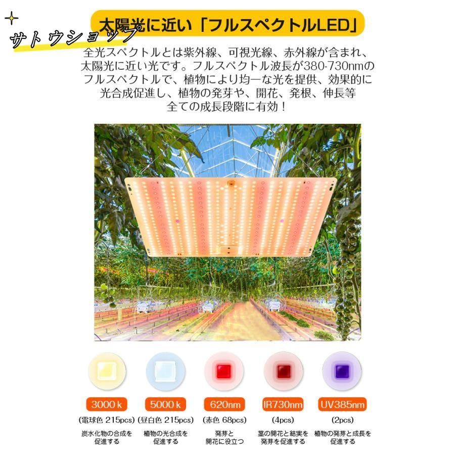 観葉植物 育苗ライト