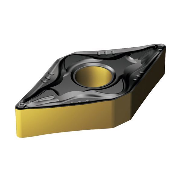 ヒメシャラ/姫シャラ/大株立ち【現品発送】管理70607 ヒメシャラ/姫シャラ/大株立ち【現品発送】管理70607 ビデオライブラリ