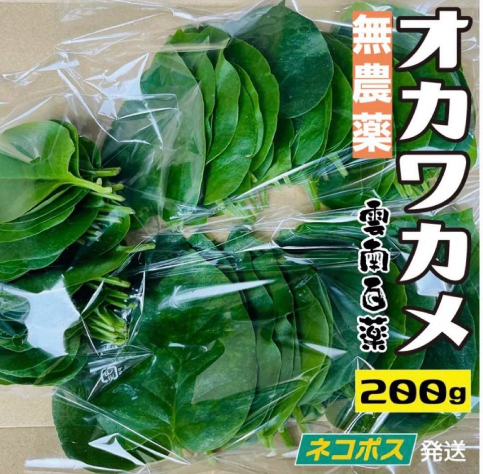 オカワカメ おかわかめ 約200g 雲南百薬 無農薬自然栽培