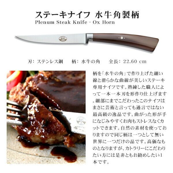 Steak Knife