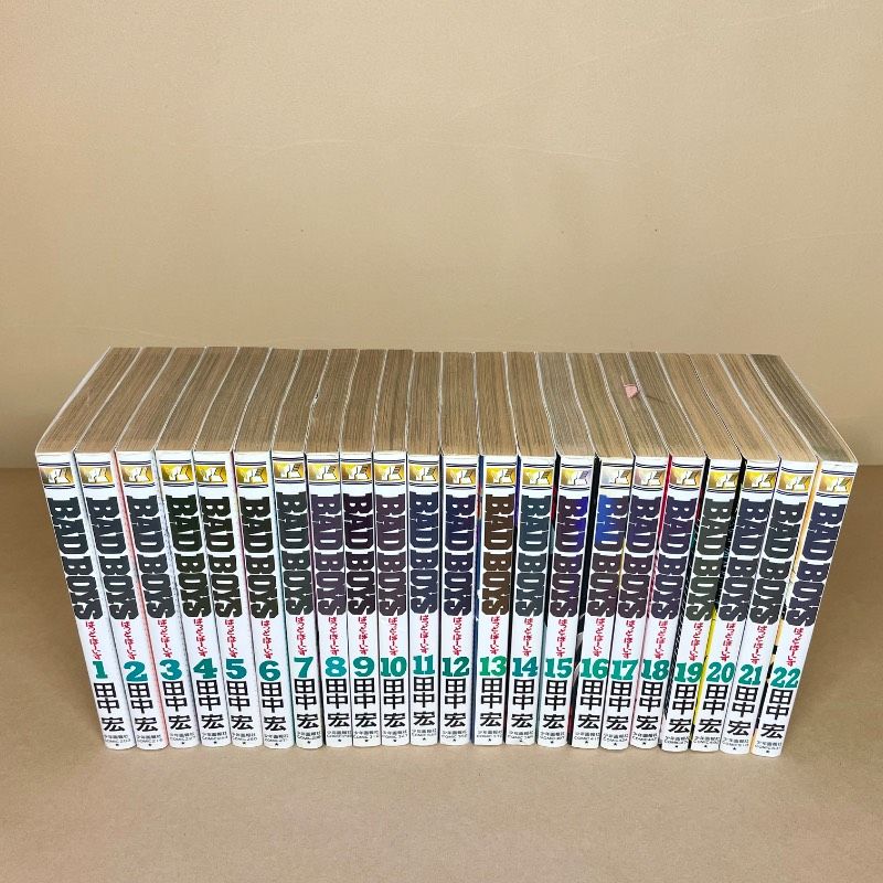 バットボーイズ BAD BOYS全巻22冊 田中宏 バットボーイズ BAD BOYS全巻22冊