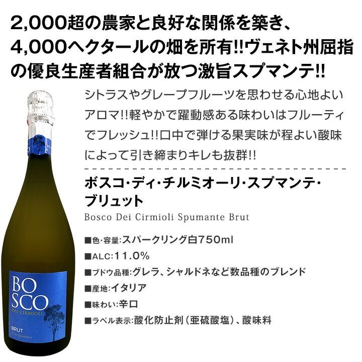 12本 セット