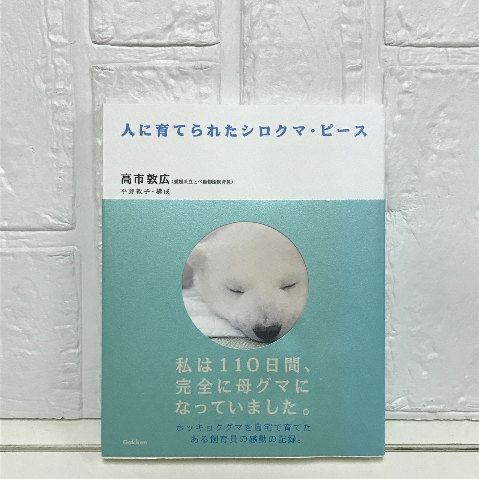 ハンディファン冷却プレート【2024最新・超大風量・瞬間冷却】手持ち