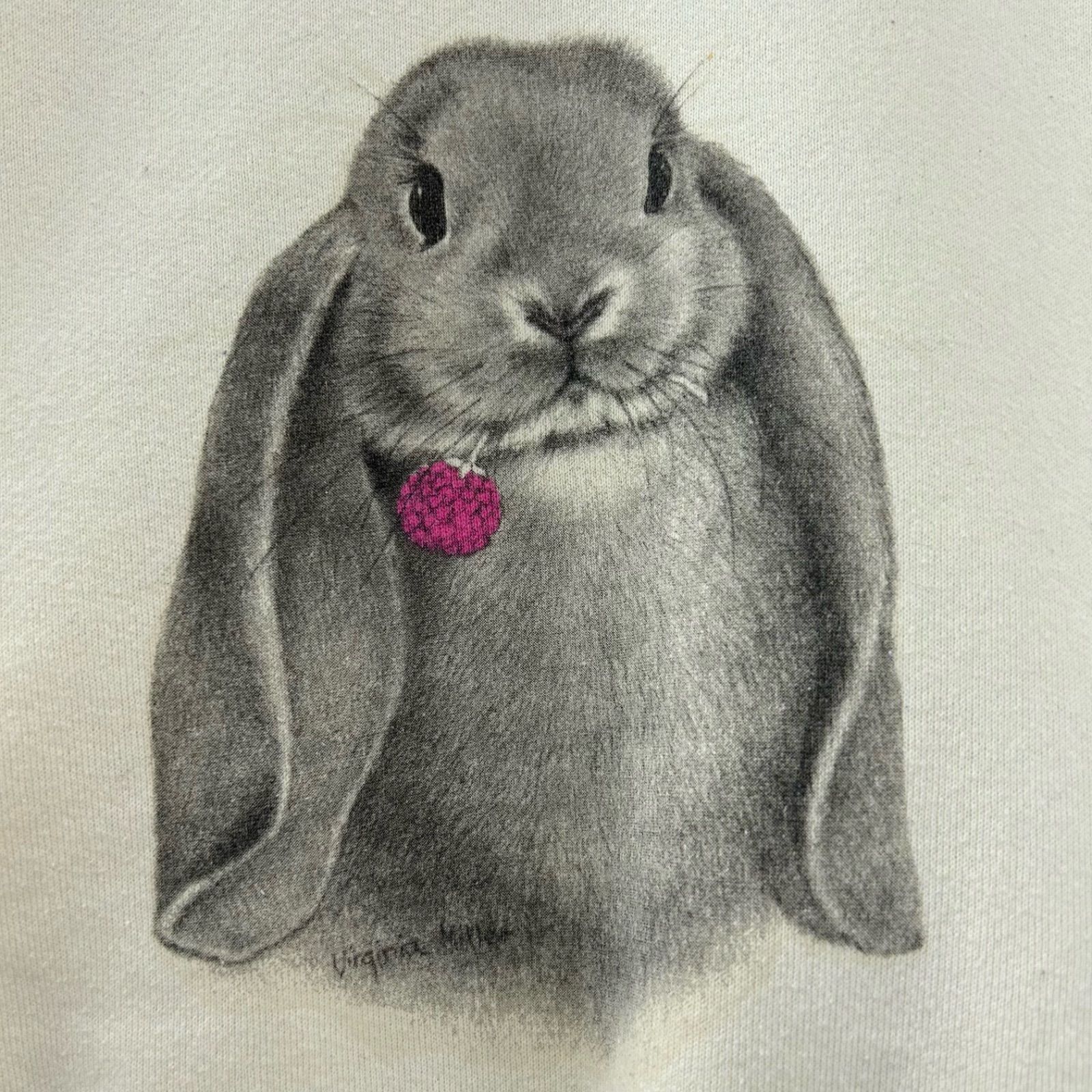 90s USA製 ロップイヤーラビット フルーツオブザルーム プリント