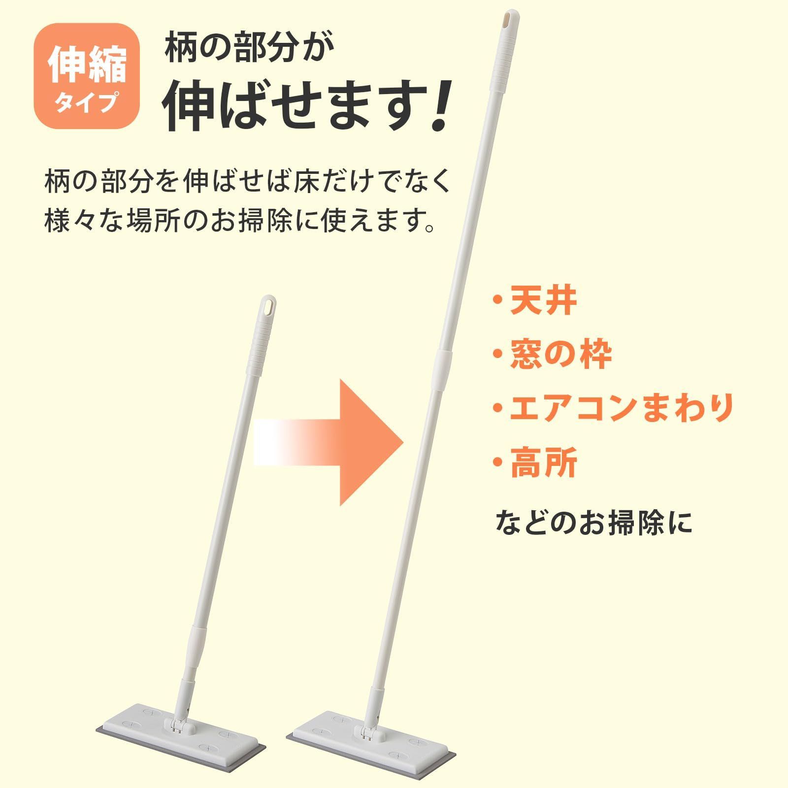 本体